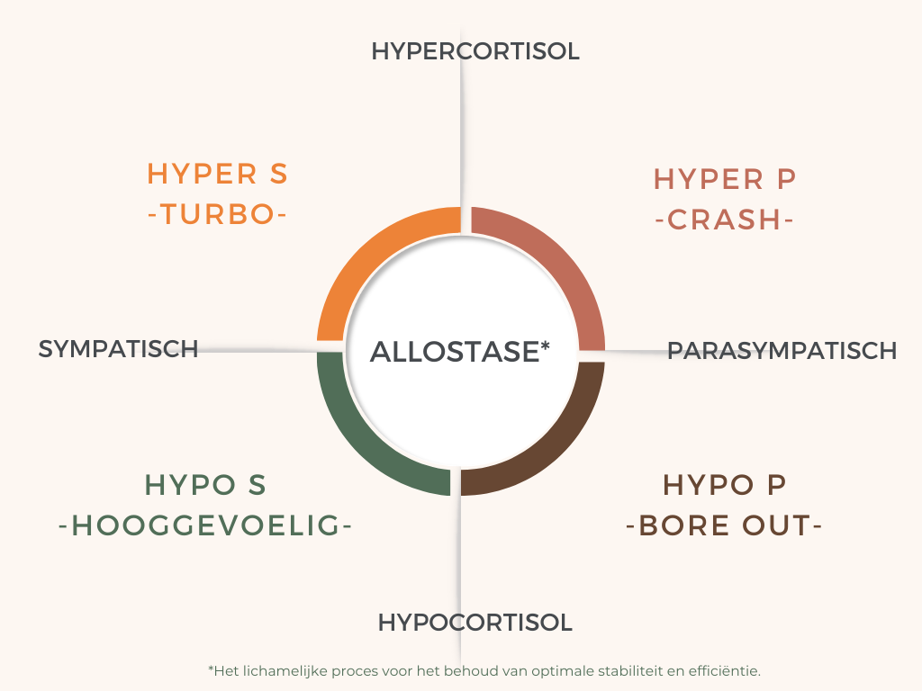 Cortisolmanager. Wat voor stressklachten krijgt jouw stresstype. 