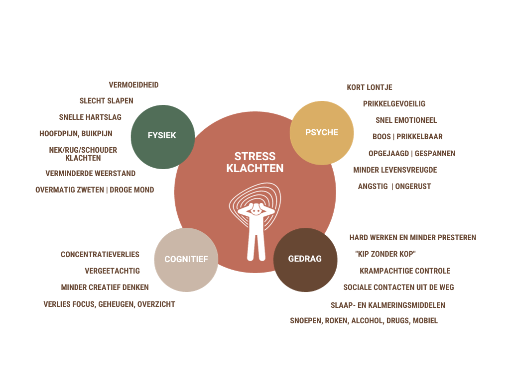 Stressklahten op de werkplek. Fysiek, psyche, cognitief en gedrag. 